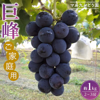巨峰