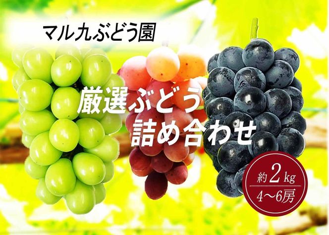 詰め合わせ